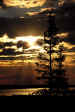 kra199017-20 NWT-Lk sunrise2 Web-Display.jpg (31667 bytes)