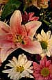 kra205021-04-Durham-Macro-Lily-Bouqet2