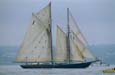 kra204068-30-BluenoseII-Sail1