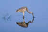 kra199007-07 Heron Sq 2 CC1H-web.jpg (55965 bytes)