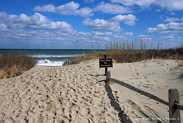 kra207001-01-Coast Guard Beach-1