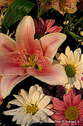 kra205021-04-Durham-Macro-Lily-Bouqet2
