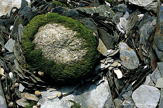 kra206001-16-Jamestown beach-2