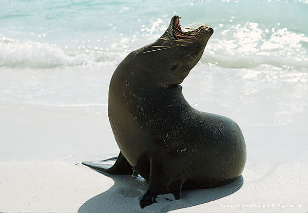 kra200011-15-Seal2