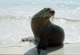 kra200011-12-Seal1