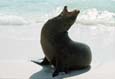 kra200011-15-Seal2