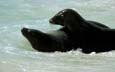 kra200012-20-Seal3