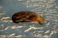 kra200017-02-Seal4